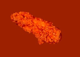 A piece of spicy strips